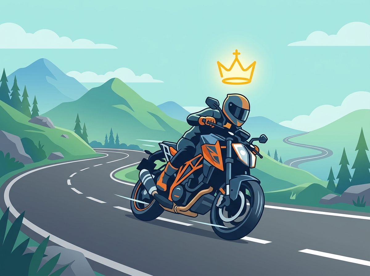 RiderOS Throne Illustration